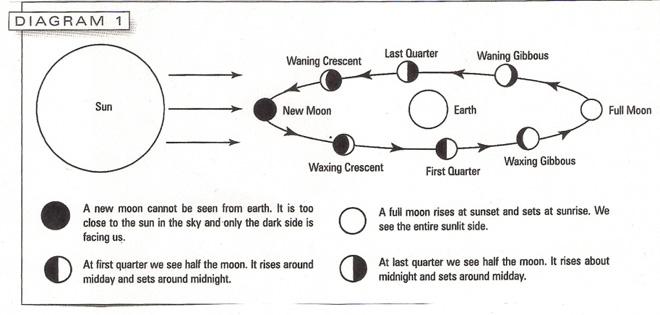 Diagram 1 © Gary Brown